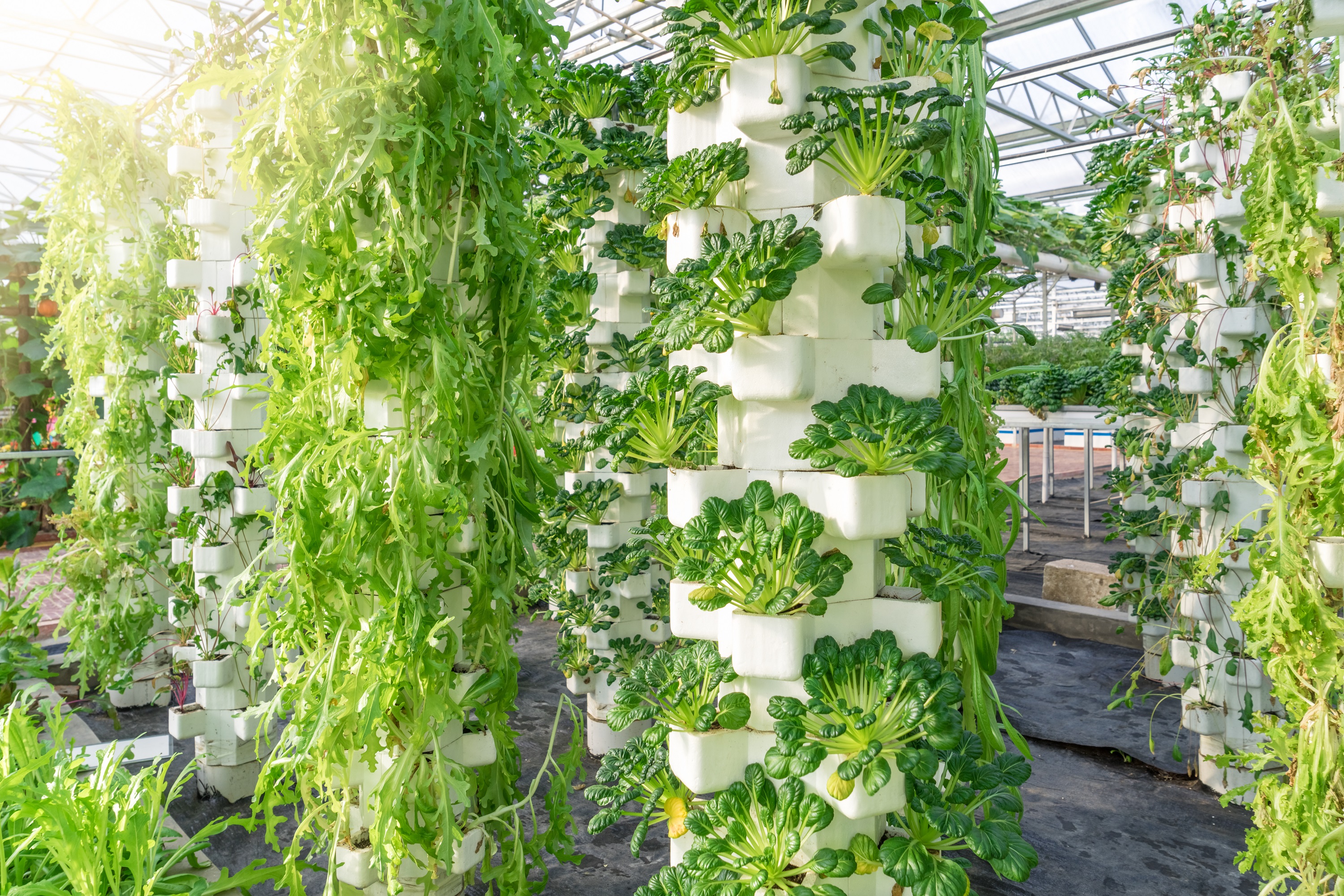 Innovation’s the Key to Vertical Farming - Modern ...