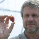 Tom Baumann, Expert Agriculture Team Ltd. and Associate Professor in the Agriculture Department at UFV.