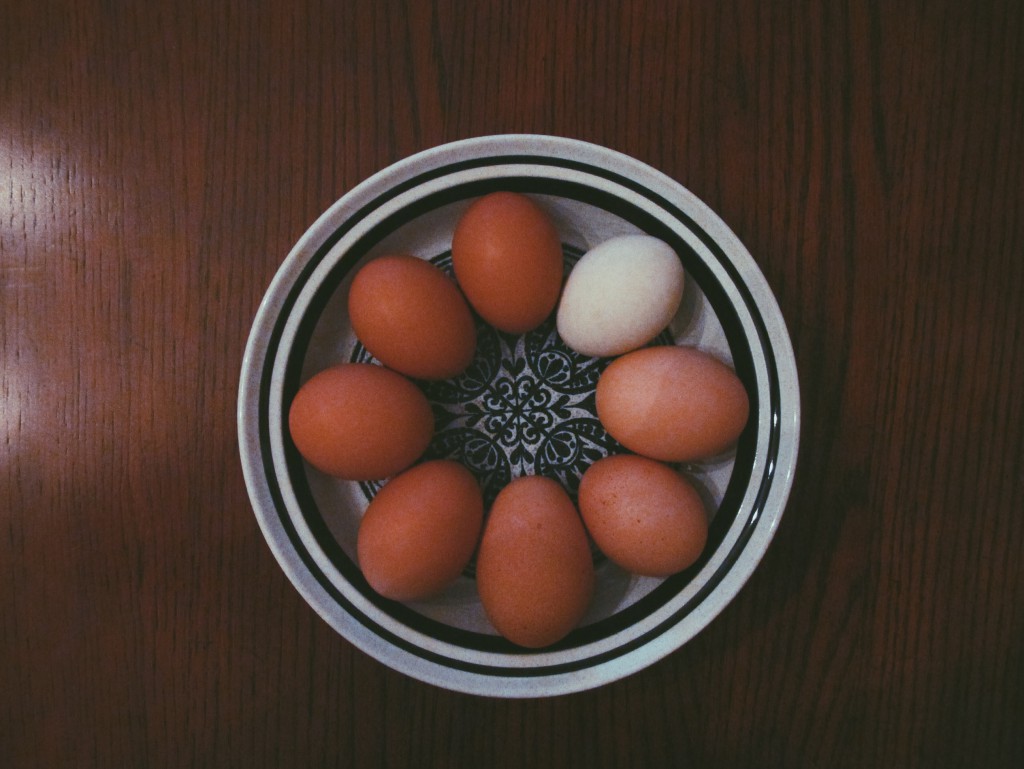 Little Hen Homestead eggs