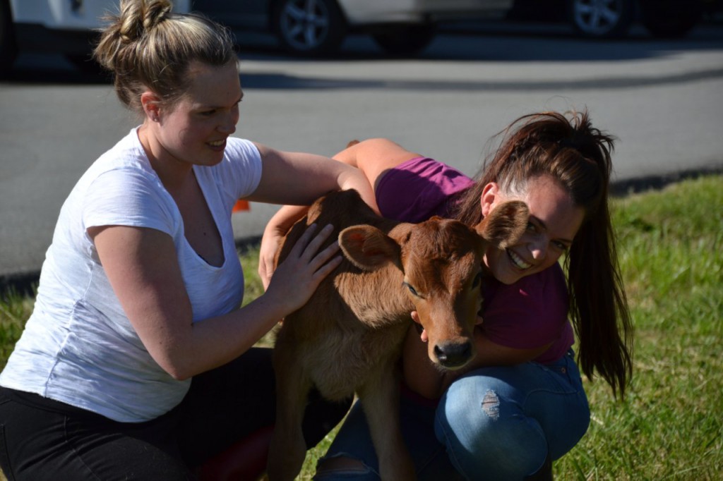 Sisters Jenna Bock and Emma Davison use milk from their uncle's Jersey cows next door.