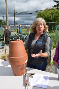 Marina Gibson demonstrates an olla watering system