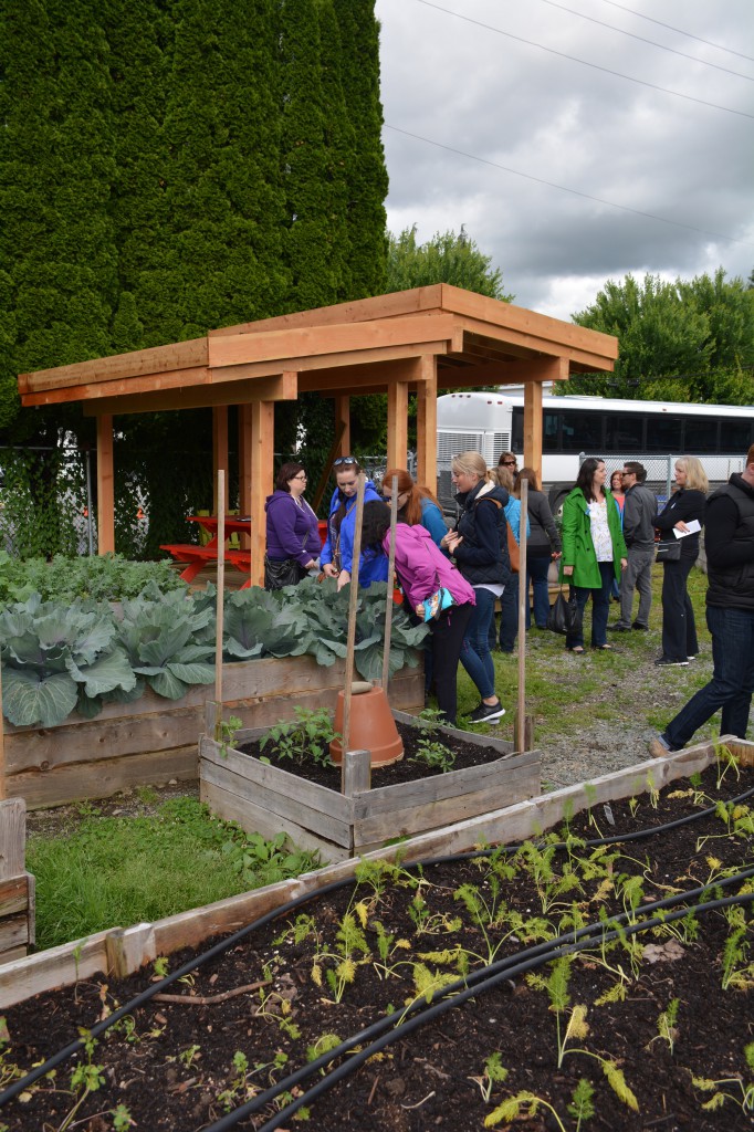 Urban gardens provide educational spaces