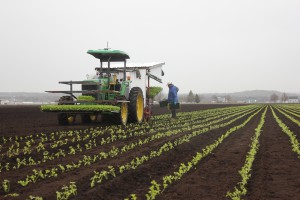 The goal: to bring the urban consumer closer to their food and modern farming.