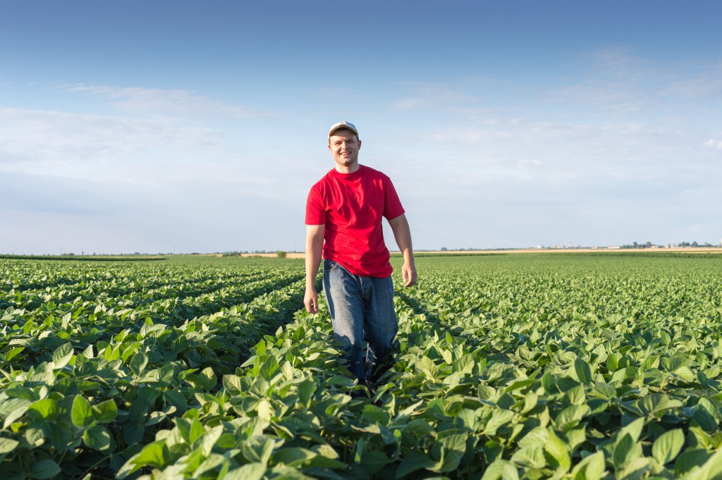 The number of new students is growing, perhaps because they recognise the fact that there are many good jobs to be had in agriculture.