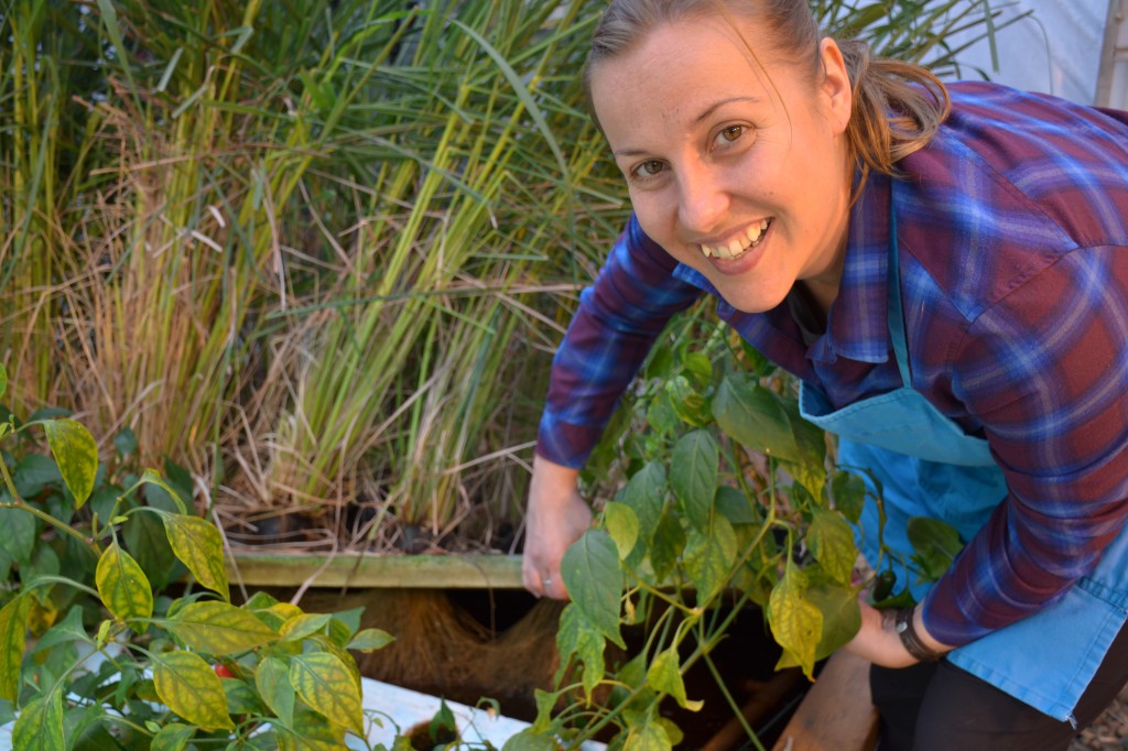 Roots grow deep and plants grow flavourful in the You Grow Food Aquaponics greenhouse in Hope, BC