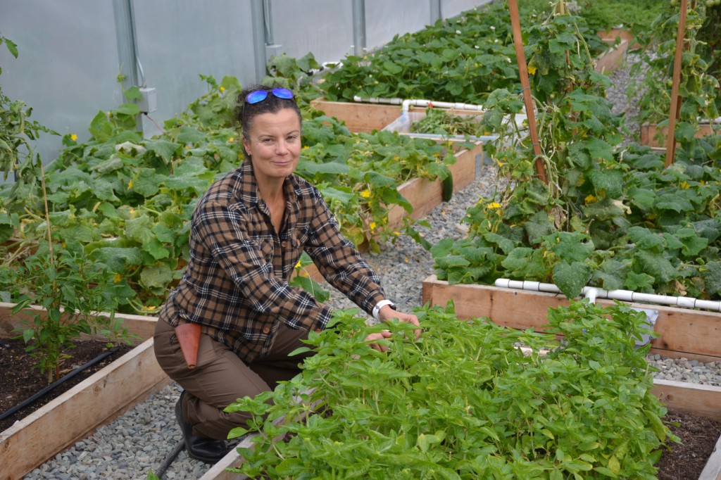 “We did some research on production of leafy greens, on testing LED lighting, and organic wasabi in the raised beds for two years.” 