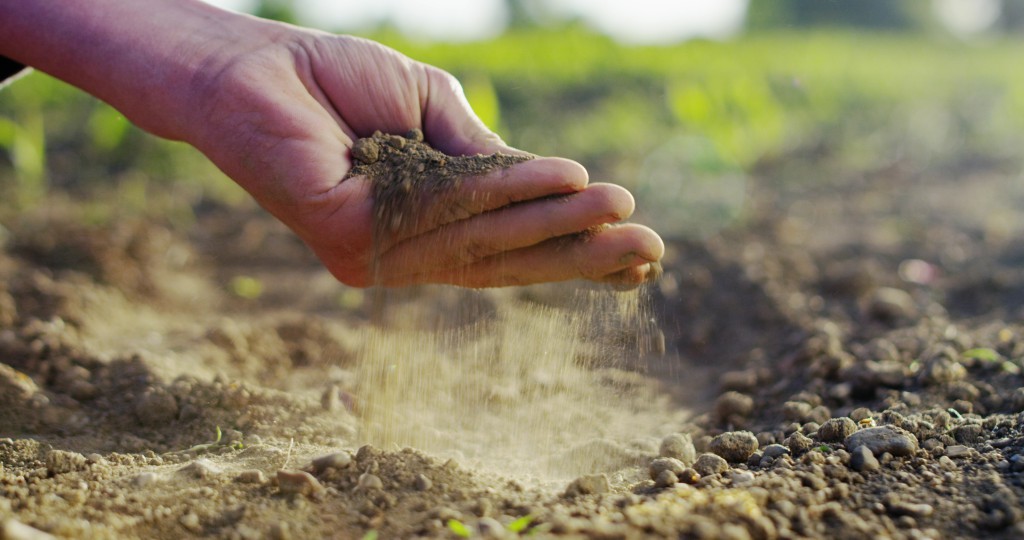 “half of the topsoil on the planet has been lost in the last 150 years”